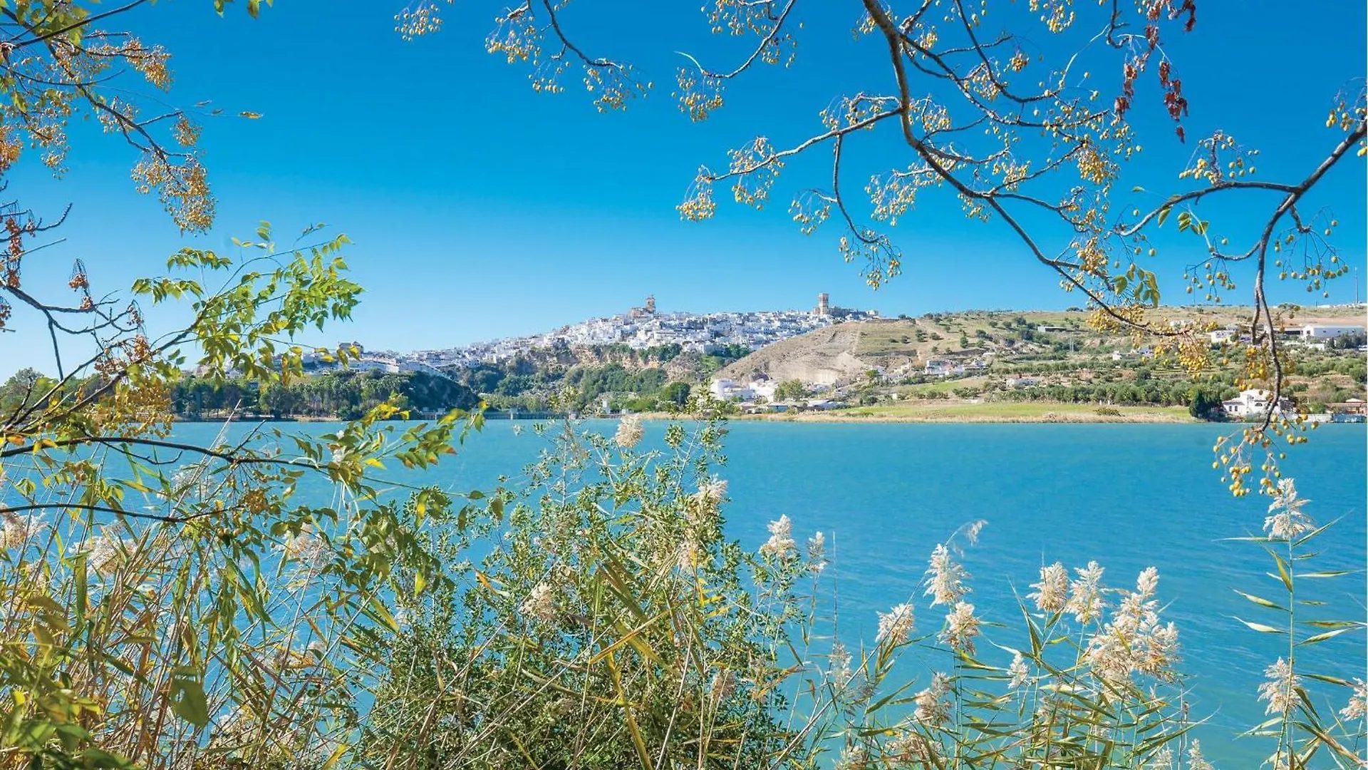 Pet Friendly Home In Arcos De La Frontera